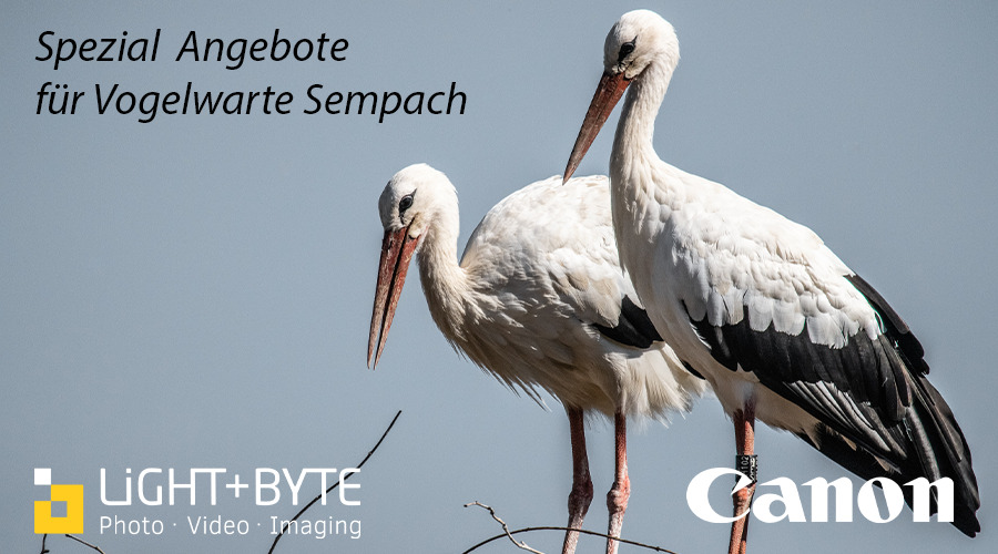 Vogelwarte Sempach | Spezial Angebote